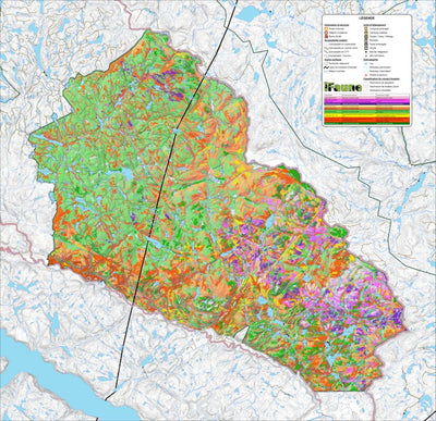 iFaune - Orignal et ours noir - Zec Chauvin (2025) Preview 1