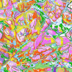 iFaune - Orignal et ours noir - Zec d'Iberville (2025) Preview 3