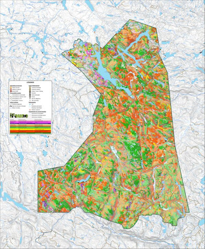 iFaune - Orignal et ours noir - Zec du Lac-Brébeuf (2025) Preview 1