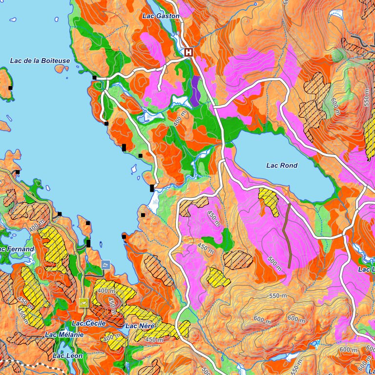 iFaune - Orignal et ours noir - Zec du Lac-de-la-Boiteuse (2025) Map by ...