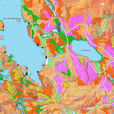 iFaune - Orignal et ours noir - Zec du Lac-de-la-Boiteuse (2025) Preview 2