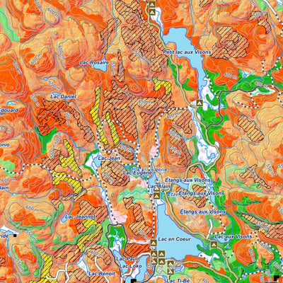 iFaune - Orignal et ours noir - Zec du Lac-de-la-Boiteuse (2025) Preview 3