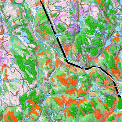 iFaune - Orignal et ours noir - Zec Forestville (2025) Preview 3