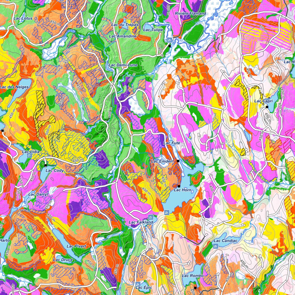 iFaune - Orignal et ours noir - Zec Gros-Brochet (2025) Map by Zecs ...