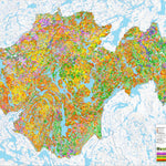 iFaune - Orignal et ours noir - Zec Kipawa (2025) Preview 1