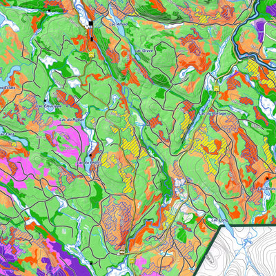 iFaune - Orignal et ours noir - Zec Mars-Moulin (2025) Preview 2