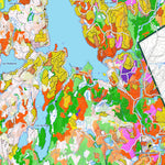 iFaune - Orignal et ours noir - Zec Mitchinamecus (2025) Preview 2