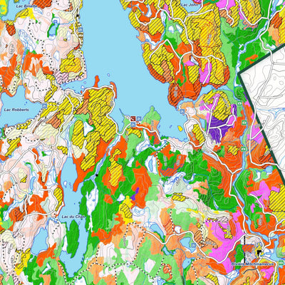 iFaune - Orignal et ours noir - Zec Mitchinamecus (2025) Preview 2