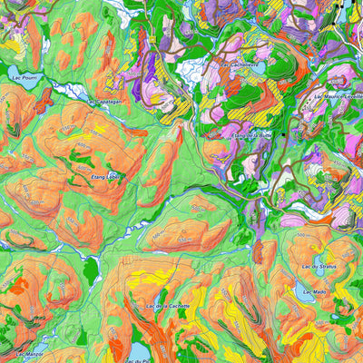 iFaune - Orignal et ours noir - Zec Nordique (2025) Preview 3