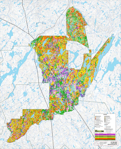 iFaune - Orignal et ours noir - Zec Normandie (2025) Preview 1