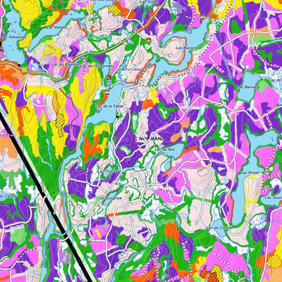 iFaune - Orignal et ours noir - Zec Normandie (2025) Preview 2