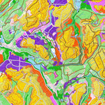 iFaune - Orignal et ours noir - Zec Owen (2025) Preview 3