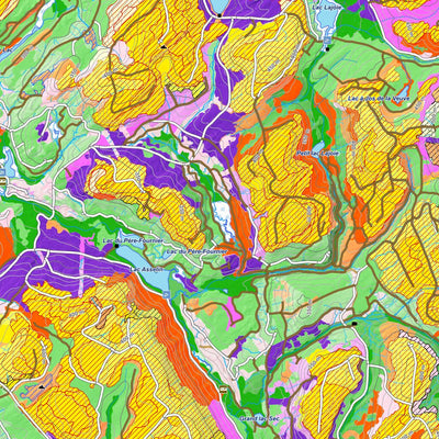 iFaune - Orignal et ours noir - Zec Owen (2025) Preview 3