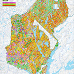 iFaune - Orignal et ours noir - Zec Petawaga (2025) Preview 1
