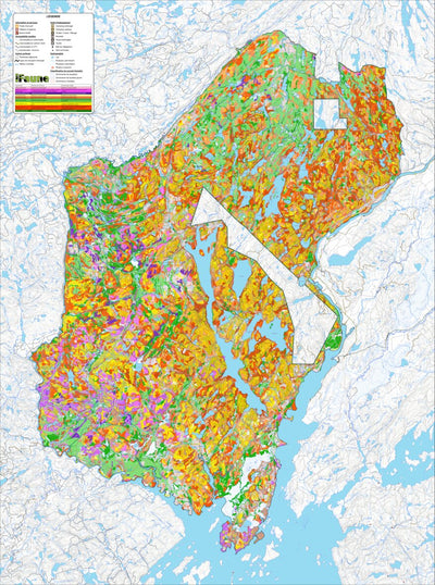 iFaune - Orignal et ours noir - Zec Petawaga (2025) Preview 1