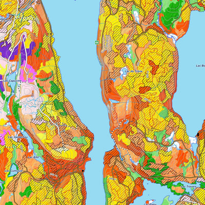 iFaune - Orignal et ours noir - Zec Petawaga (2025) Preview 2