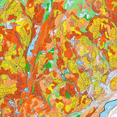 iFaune - Orignal et ours noir - Zec Petawaga (2025) Preview 3
