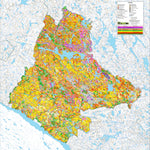 iFaune - Orignal et ours noir - Zec Saint-Patrice (2025) Preview 1