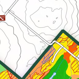 iFaune - Orignal et ours noir - Zec Saint-Romain (2025) Preview 2