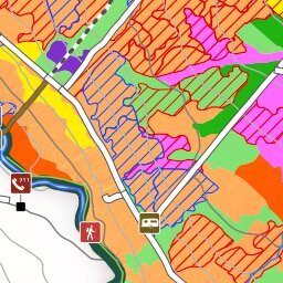 iFaune - Orignal et ours noir - Zec Saint-Romain (2025) Preview 3