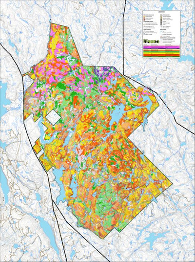 iFaune - Orignal et ours noir - Zec Tawachiche (2025) Preview 1