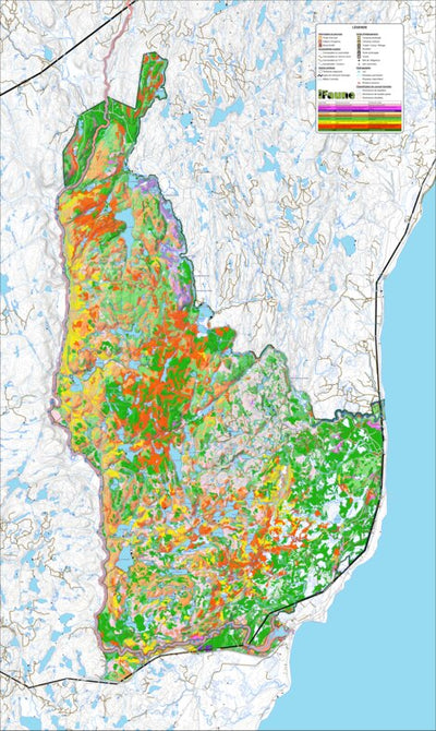 iFaune - Orignal et ours noir - Zec Trinité (2025) Preview 1