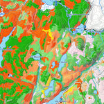iFaune - Orignal et ours noir - Zec Trinité (2025) Preview 2