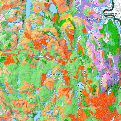 iFaune - Orignal et ours noir - Zec Trinité (2025) Preview 3