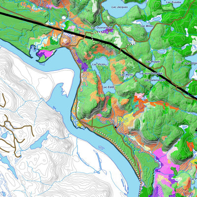 iFaune - Orignal et ours noir - Zec Varin (2025) Preview 2