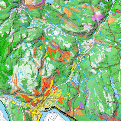 iFaune - Orignal et ours noir - Zec Varin (2025) Preview 3