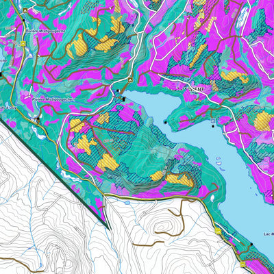iFaune - Petit gibier - Zec Bas-Saint-Laurent (2025) Preview 2