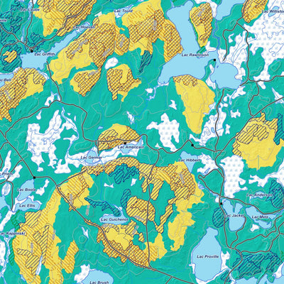 iFaune - Petit gibier - Zec Capitachouane (2025) Preview 2