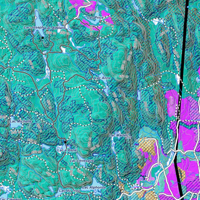 iFaune - Petit gibier - Zec du Lac-de-la-Boiteuse (2025) Preview 3