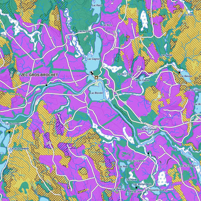 Zecs Québec iFaune - Petit gibier - Zec Gros-Brochet (2023) digital map