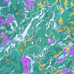 Zecs Québec iFaune - Petit gibier - Zec Kiskissink (2023) digital map