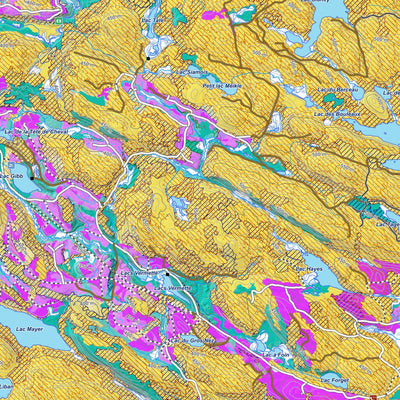 iFaune - Petit gibier - Zec Pontiac (2025) Preview 3
