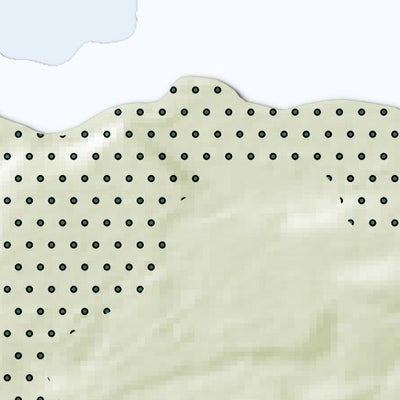 Carte bathymétrique du Lac Moreau Zec de l'Anse-Saint-Jean (2025) Preview 2