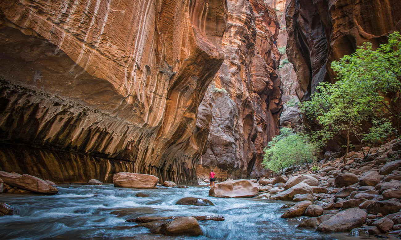 The Narrows, Zion National Park, Utah