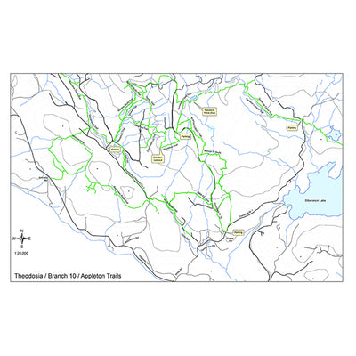 Theodosia / Branch 10 / Appleton Trials