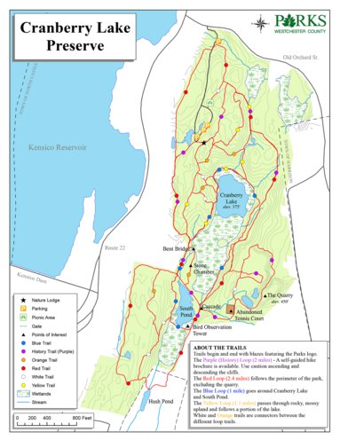 Cranberry Lake Preserve