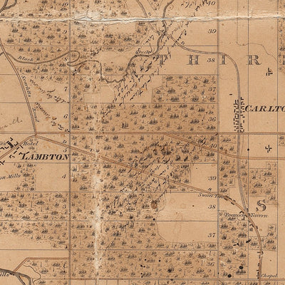 Township of York - 1851