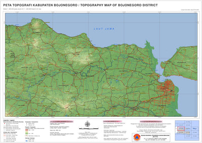 N10: Bojonegoro District