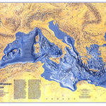 Mediterranean Seafloor 1982