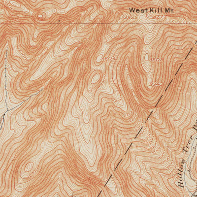 NY-Phoenicia: Authoritative US Topos Historic 1903