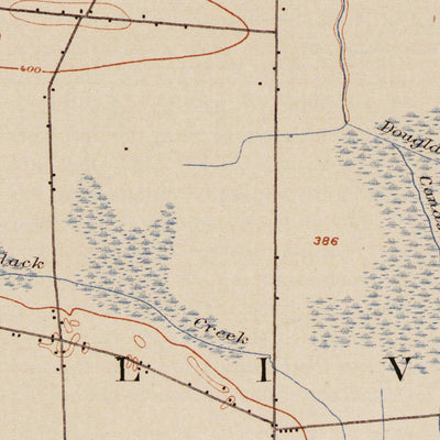 NY-Chittenango: Authoritative US Topos Historic 1902