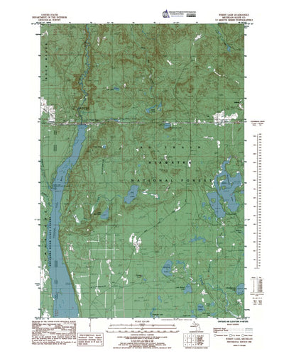 MI-Forest Lake: Authoritative US Topos 1985