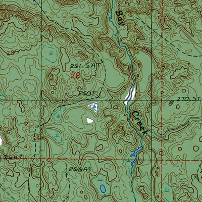 MI-Forest Lake: Authoritative US Topos 1985