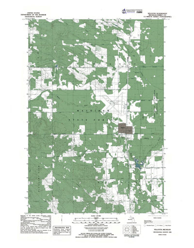 MI-Pellston: Authoritative US Topos 1982