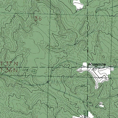 MI-Pellston: Authoritative US Topos 1982
