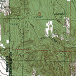 MI-Burt Lake: Authoritative US Topos 1986